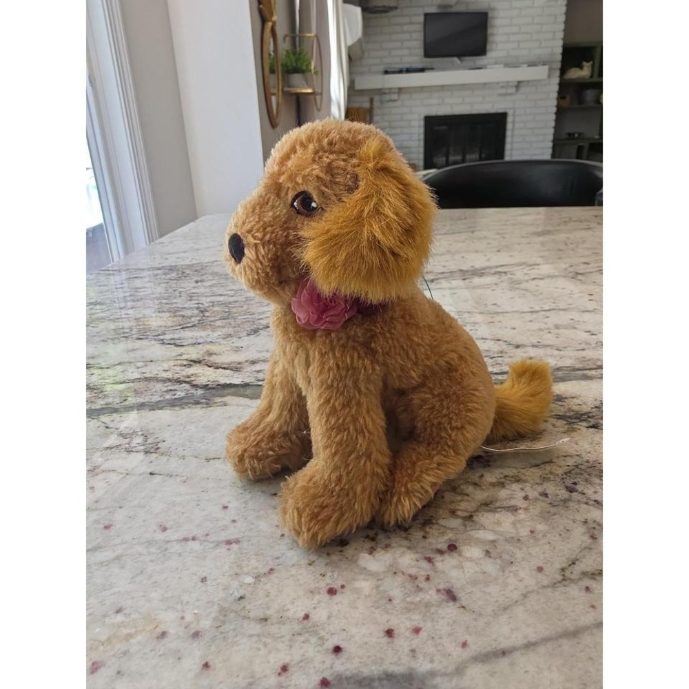 American Girl Tenneys Golden Retriever With Leash Plush Puppy Stuffed Animal
